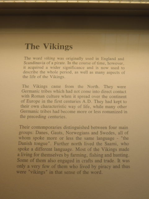 Viking Museum 038