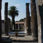 P8050018